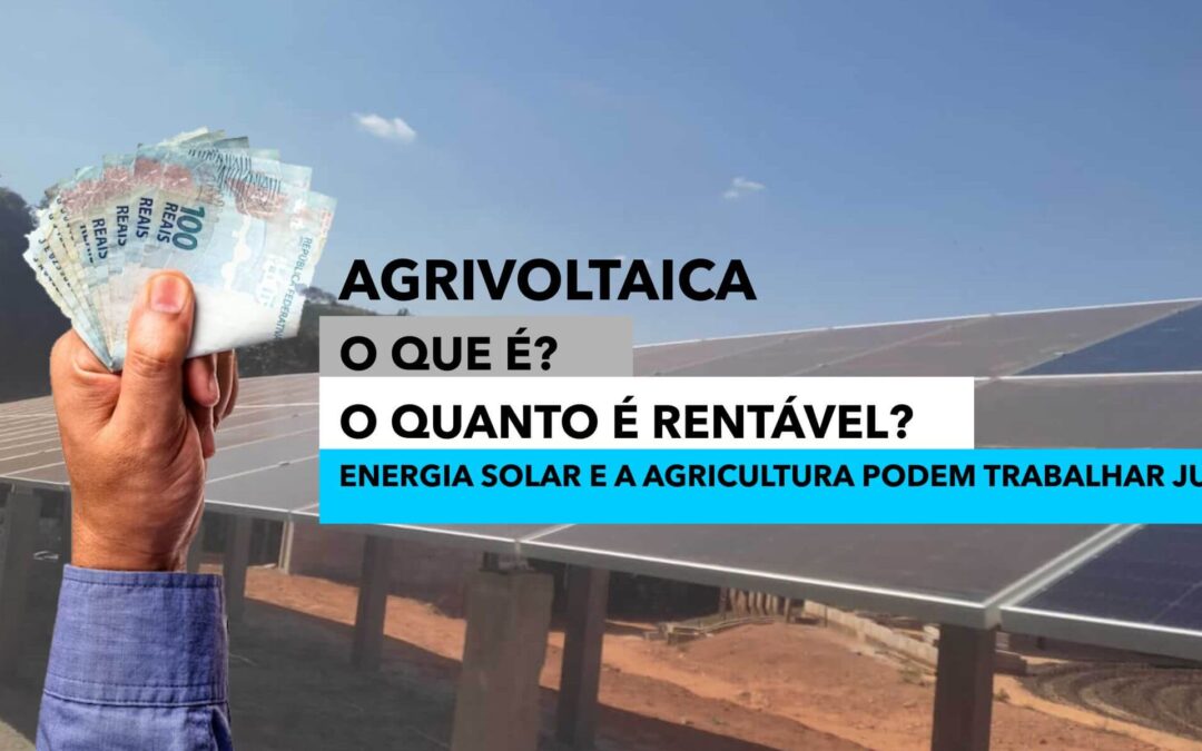 Agrivoltaica, o que é? O quanto é rentável? Energia solar e a agricultura podem trabalhar juntas?